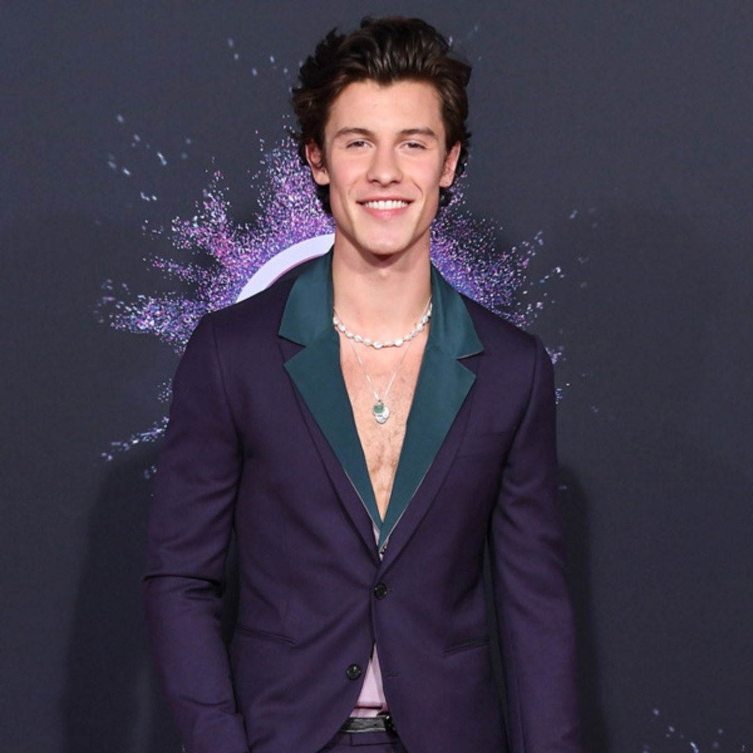 Shawn Mendes Cancels Brazil Concert Due to Illness
